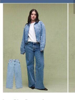 parke low rise baggy vintage wash